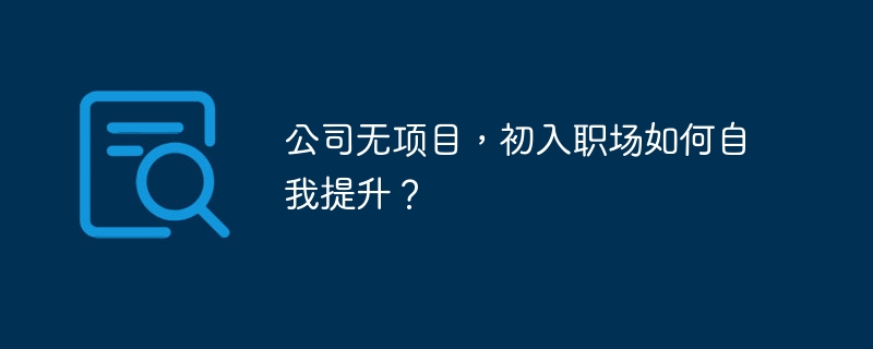 公司无项目，初入职场如何自我提升？