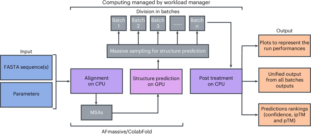 蛋白预测从数月缩短至数小时，MassiveFold出于AlphaFold而胜于AlphaFold3