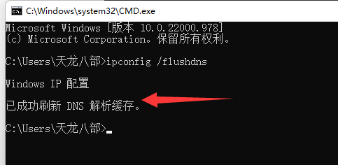 Win11dns异常无法上网怎么办 Win11dns异常无法上网解决方法