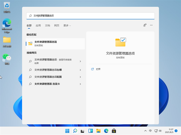 Win11怎么查看文件的后缀名 Win11显示文件后缀名的方法