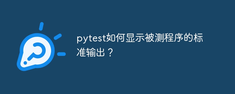 pytest如何显示被测程序的标准输出？