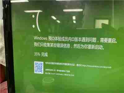 Win11系统一开机就绿屏怎么办 Win11系统一开机就绿屏解决方法