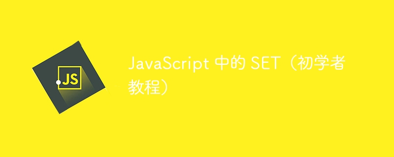 JavaScript 中的 SET（初学者教程）