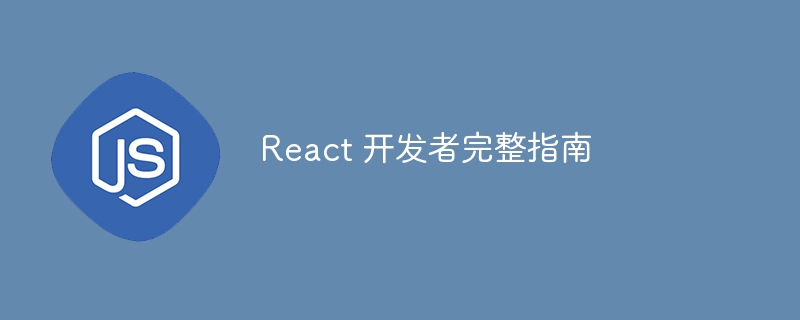 React 开发者完整指南