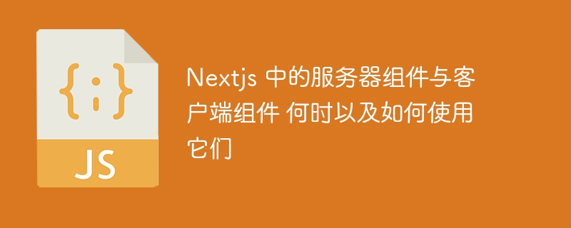 Nextjs 中的服务器组件与客户端组件 何时以及如何使用它们