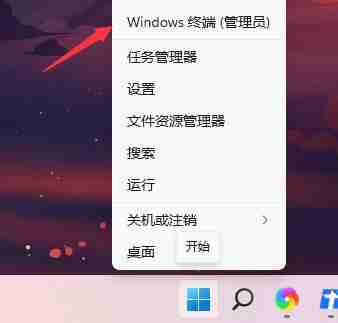 Win11预览版计划怎么退出 Win11退出预览版计划的方法介绍