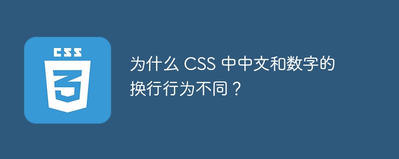 为什么 CSS 中中文和数字的换行行为不同？