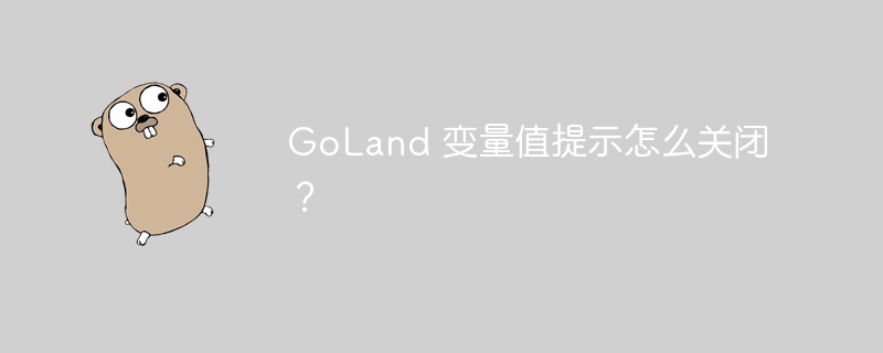 GoLand 变量值提示怎么关闭？