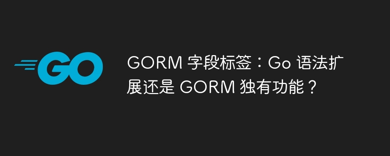 GORM 字段标签：Go 语法扩展还是 GORM 独有功能？