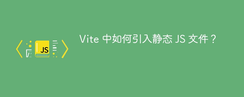 Vite 中如何引入静态 JS 文件？ 
