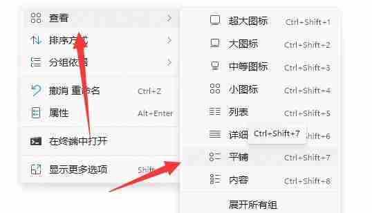 Win11电脑磁盘不显示内存大小怎么办 