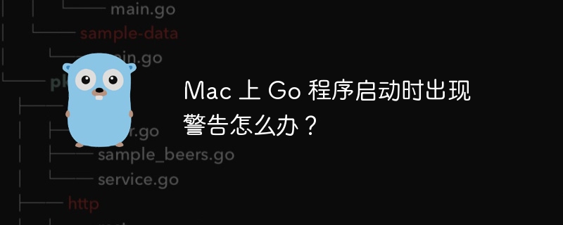 Mac 上 Go 程序启动时出现警告怎么办？