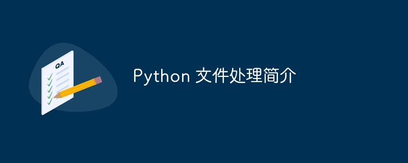 Python 文件处理简介