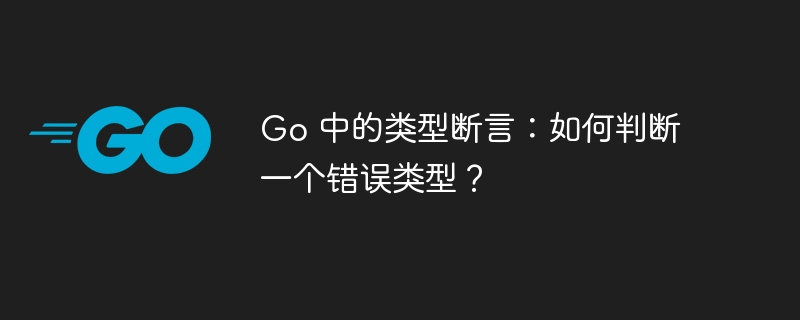 Go 中的类型断言：如何判断一个错误类型？