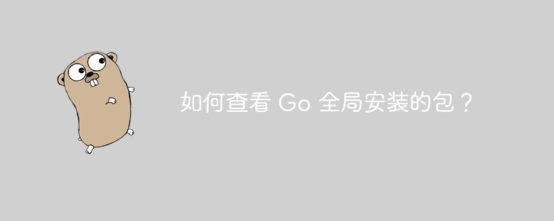 如何查看 Go 全局安装的包？