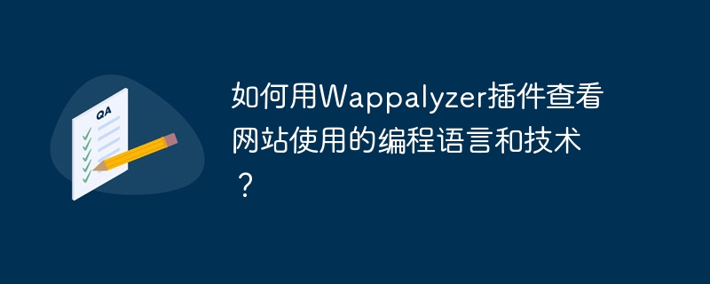 如何用Wappalyzer插件查看网站使用的编程语言和技术？