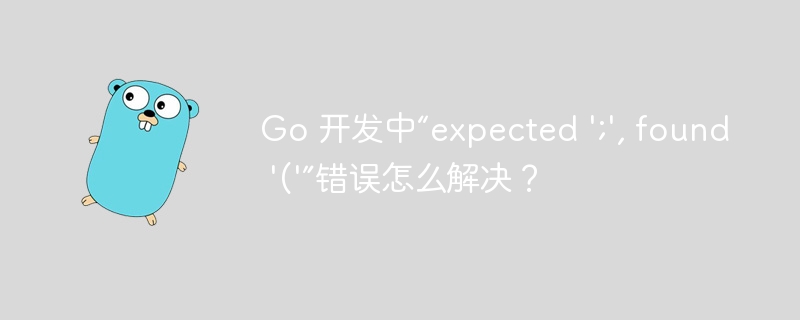 Go 开发中“expected ';', found '('”错误怎么解决？