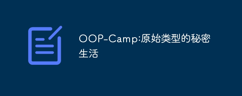 OOP-Camp:原始类型的秘密生活