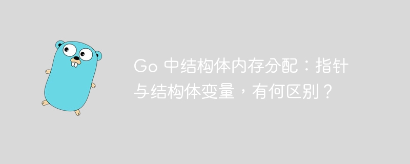 Go 中结构体内存分配：指针与结构体变量，有何区别？