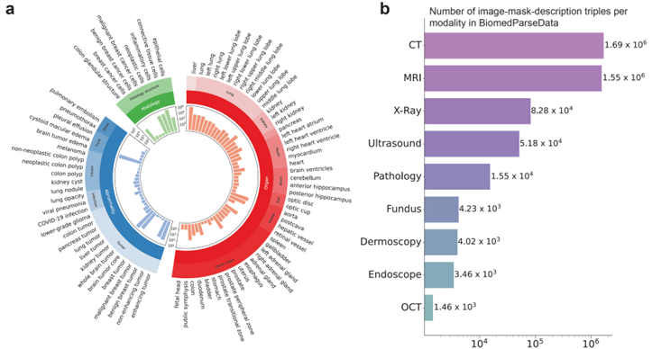 九大成像模式一键解析，生物医学图像AI再迎突破！微软、UW等BiomedParse登Nature子刊