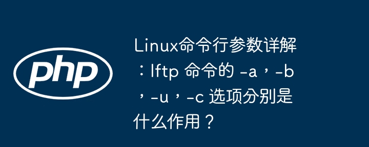 Linux命令行参数详解：lftp 命令的 -a，-b，-u，-c 选项分别是什么作用？
