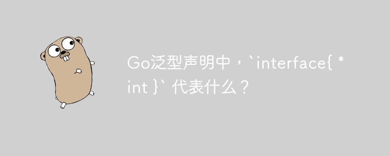 Go泛型声明中，`interface{ *int }` 代表什么？