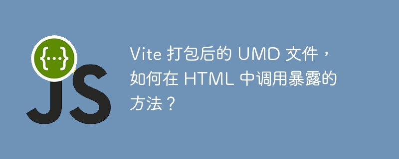 Vite 打包后的 UMD 文件，如何在 HTML 中调用暴露的方法？ 
