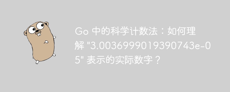 Go 中的科学计数法：如何理解 