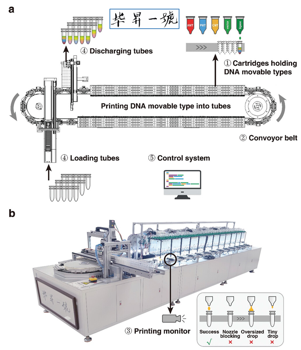 「毕昇一号」DNA活字存储喷墨打印机来了，低成本、高效率、全自动的DNA存储