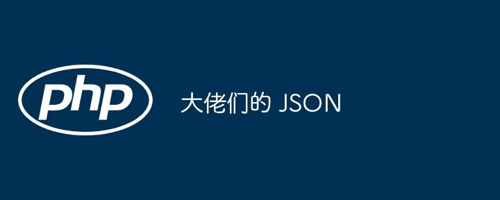 大佬们的 JSON