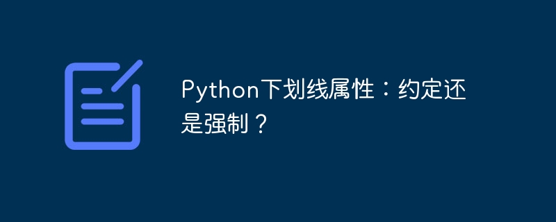 Python下划线属性：约定还是强制？