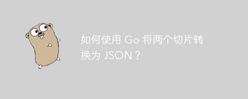 如何使用 Go 将两个切片转换为 JSON？