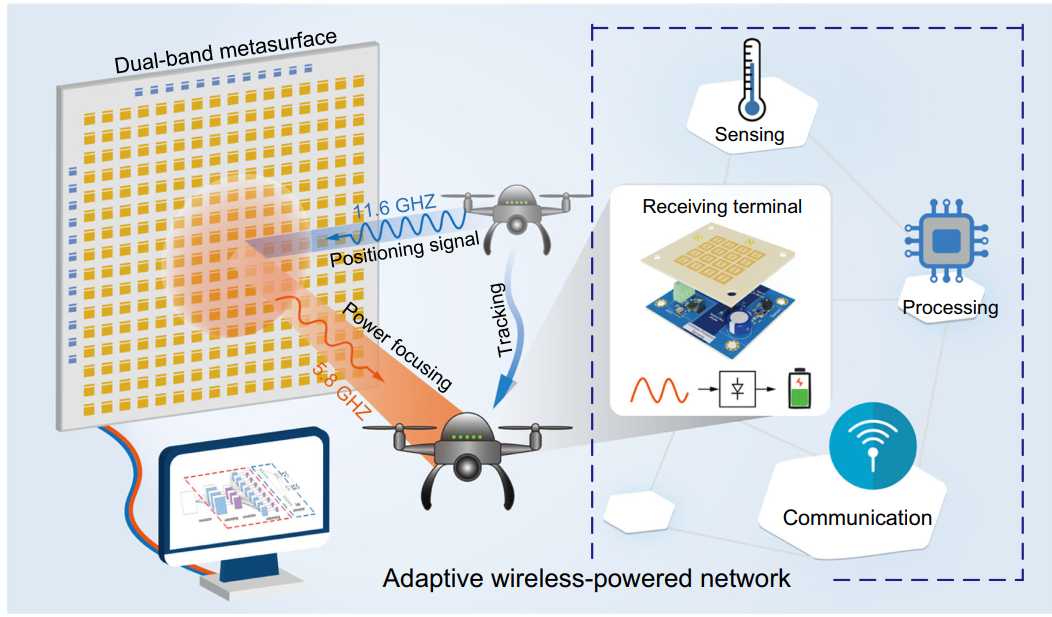 西安电子科技大学团队在 Nature Communications 上发表最新成果