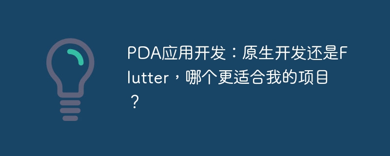 PDA应用开发：原生开发还是Flutter，哪个更适合我的项目？