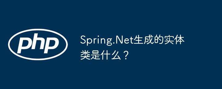 Spring.Net生成的实体类是什么？