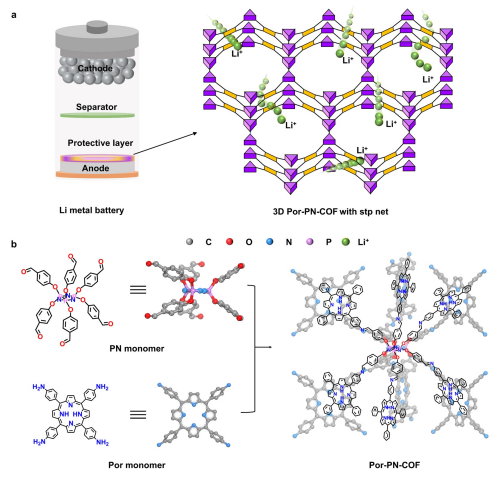 中国科学院发展出新型三维共价有机框架 助力实现高性能锂金属电池