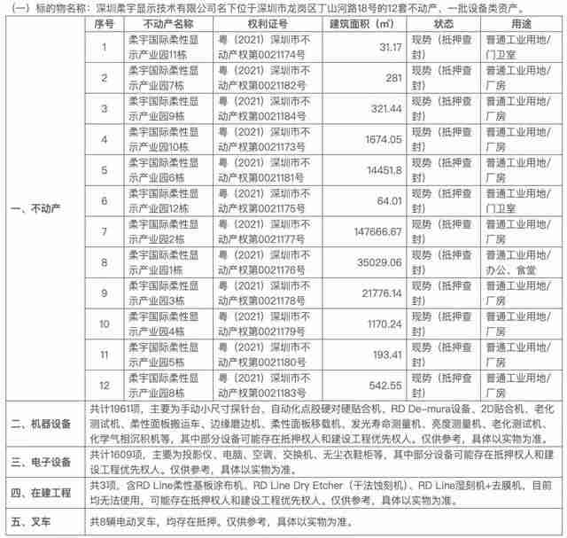 起拍价12.3亿元！柔宇显示名下资产流拍