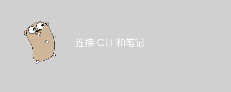 连接 CLI 和笔记