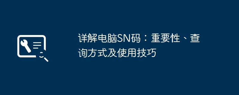 详解电脑SN码：重要性、查询方式及使用技巧