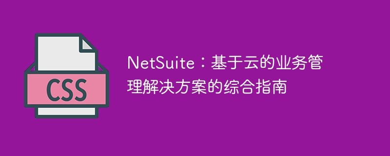 NetSuite：基于云的业务管理解决方案的综合指南