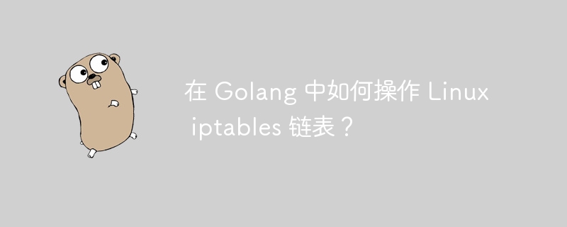 在 Golang 中如何操作 Linux iptables 链表？