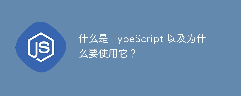 什么是 TypeScript 以及为什么要使用它？