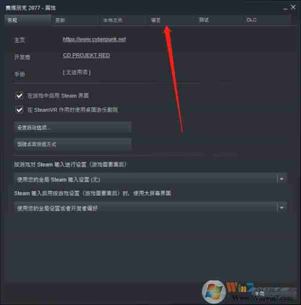 赛博朋克2077 SETAM怎么设置中文配音