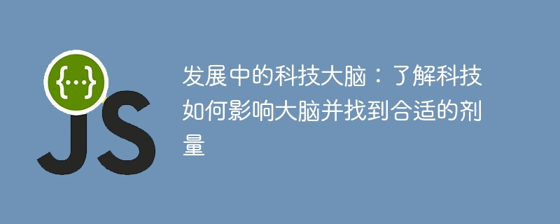 发展中的科技大脑：了解科技如何影响大脑并找到合适的剂量