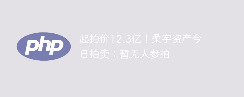 起拍价12.3亿！柔宇资产今日拍卖：暂无人参拍