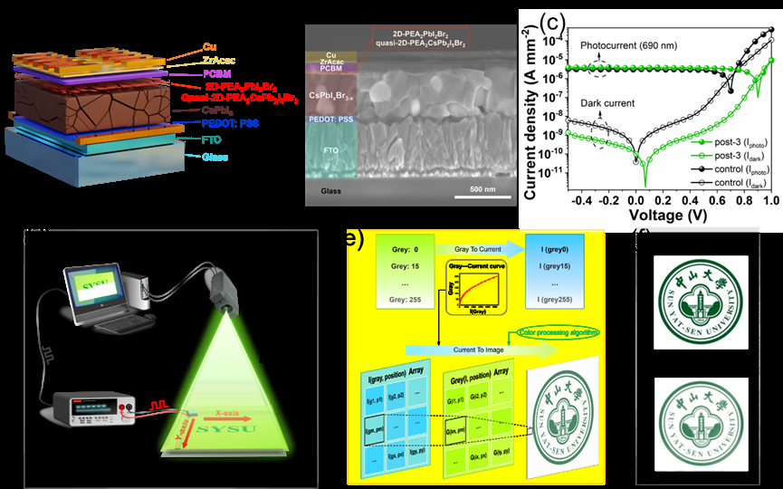 中山大学光子感知团队在国际顶级光学期刊《Laser & Photonics Review》发文