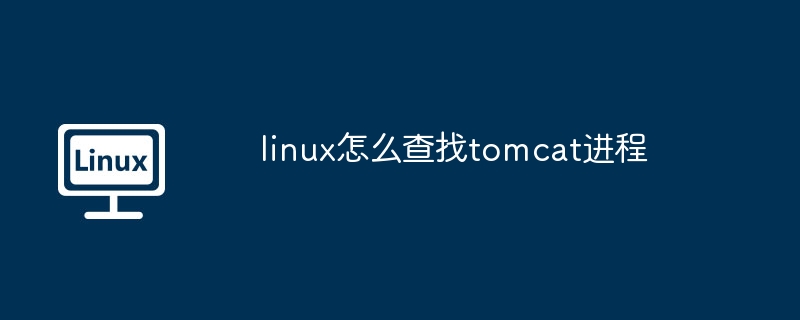 linux怎么查找tomcat进程