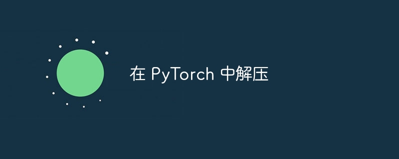 在 PyTorch 中解压