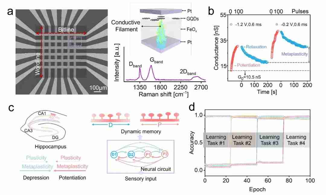 浙江大学团队最新研究登上《Advanced Materials》期刊封面