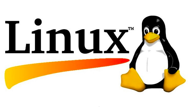 Linux 中配置独立冗余磁盘阵列